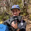 0xhj and apollo avi