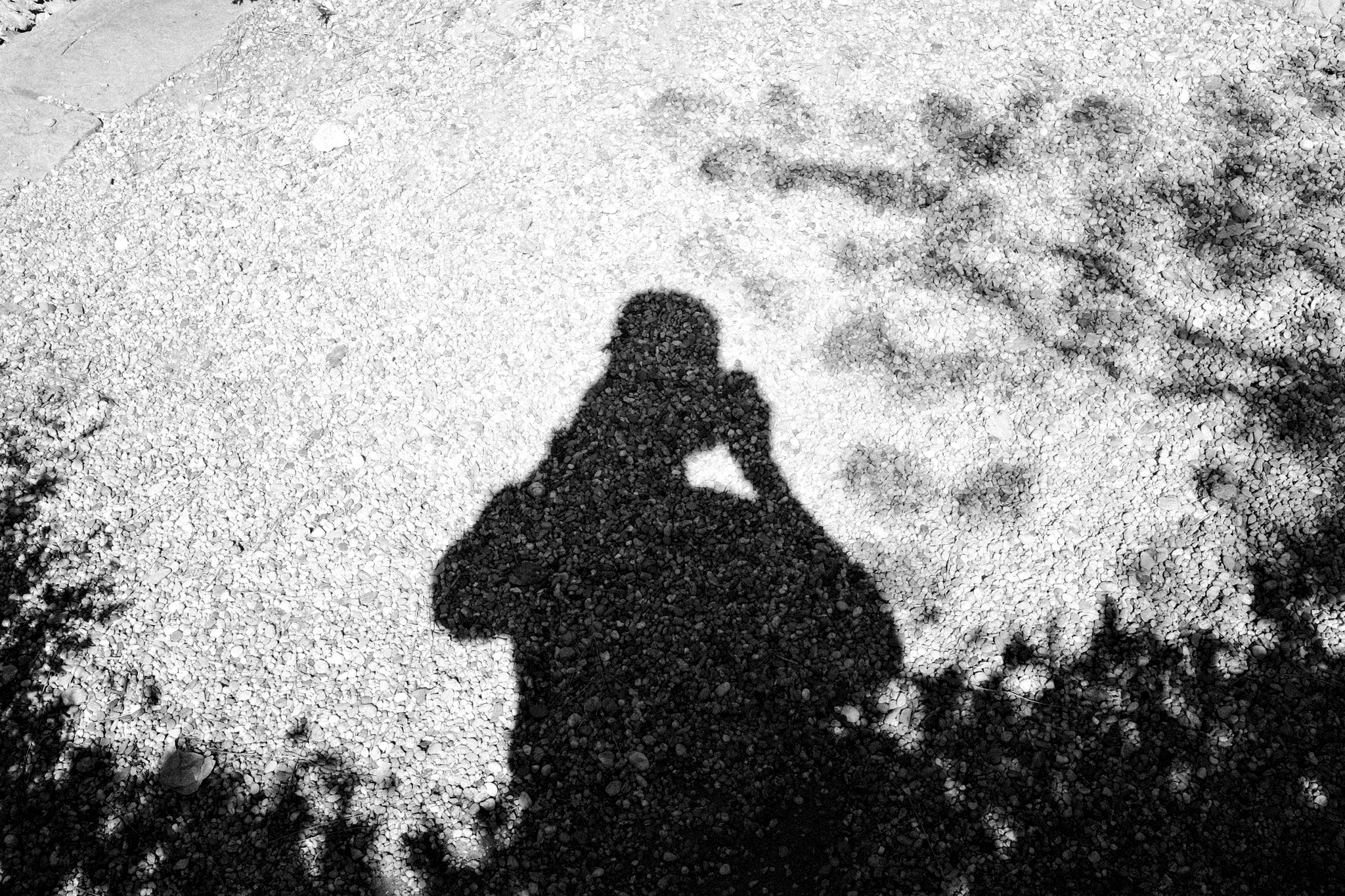 BW of portrait shadow