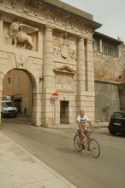 Venetian lion gate