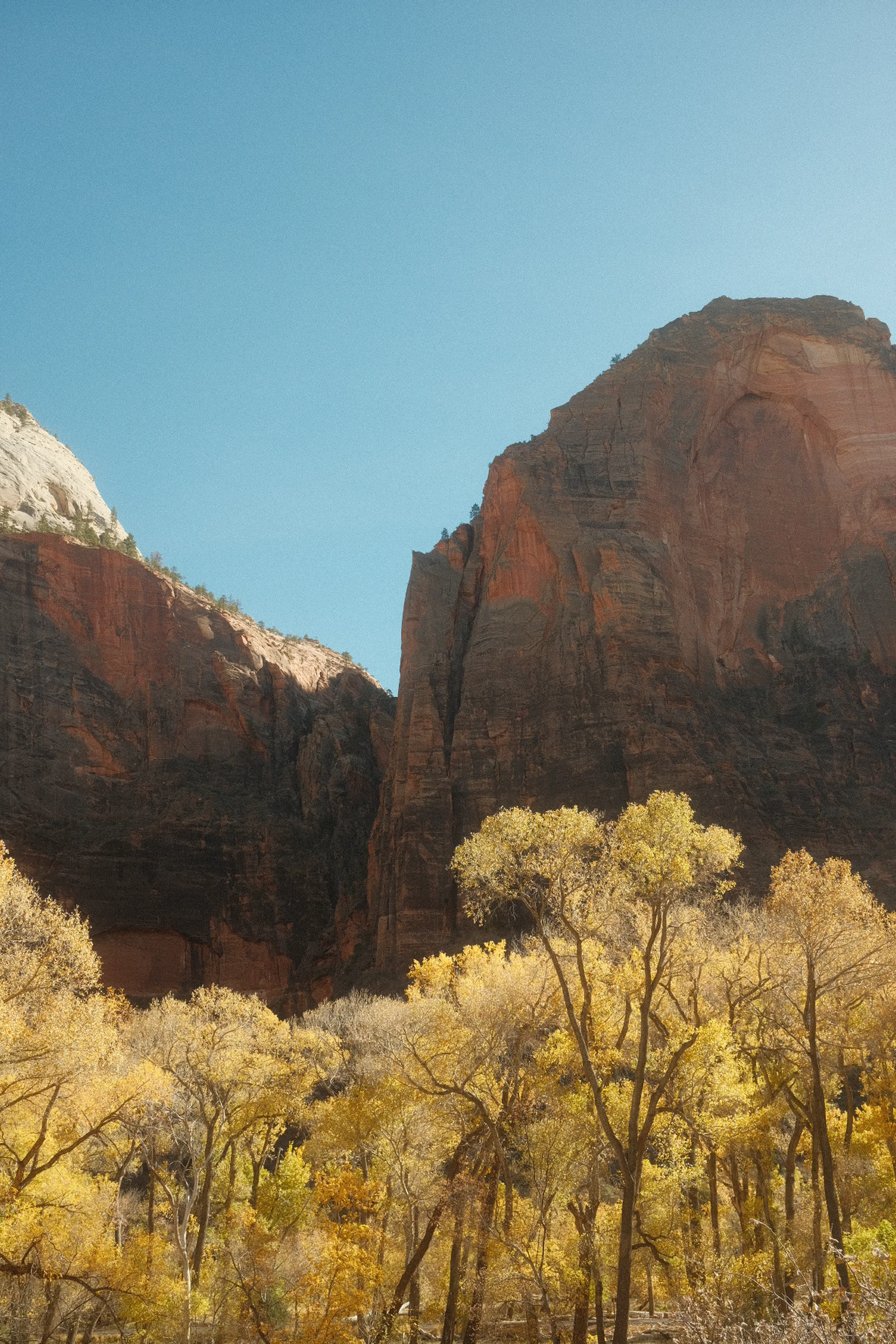 Zion autumn canyon