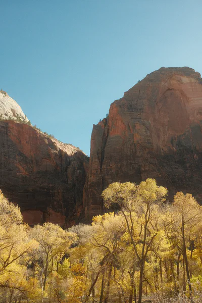 Zion autumn canyon